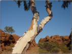 foto Parco nazionale Uluru-Kata, Tjuta